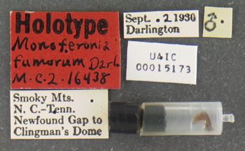 Media type: image;   Entomology 16438 Aspect: labels